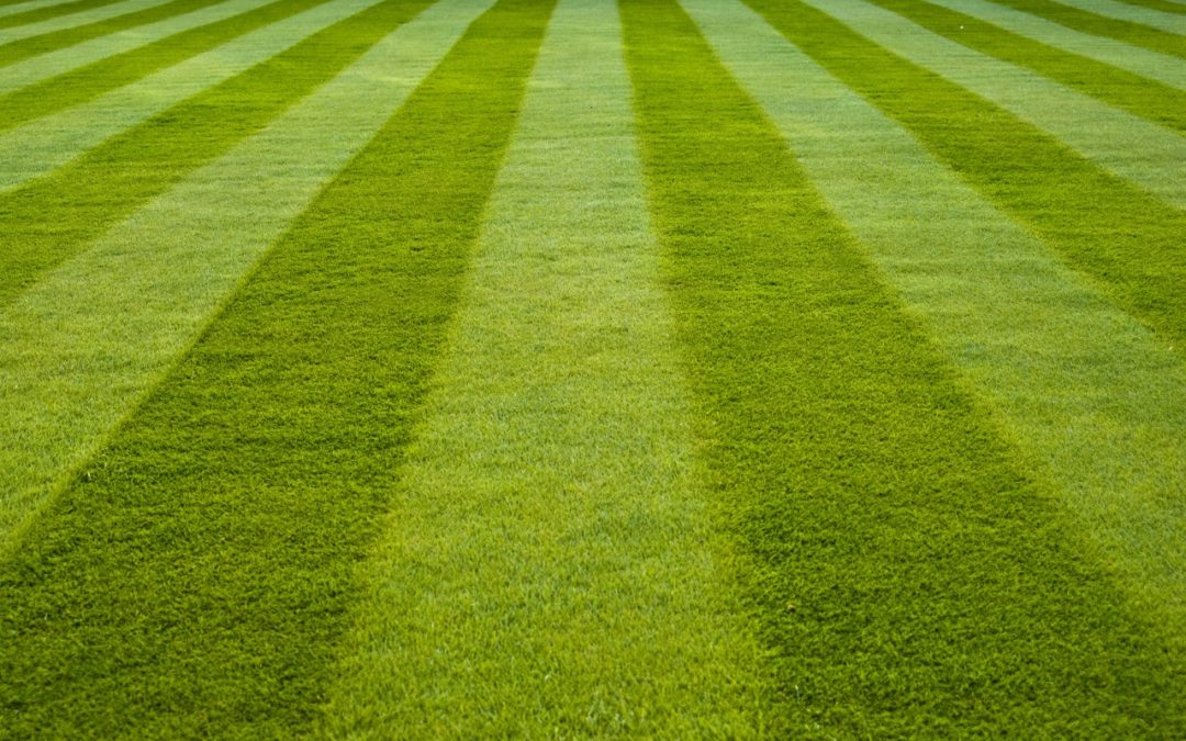 Growing a Beautiful Lawn In Colorado and the Rocky Mountains